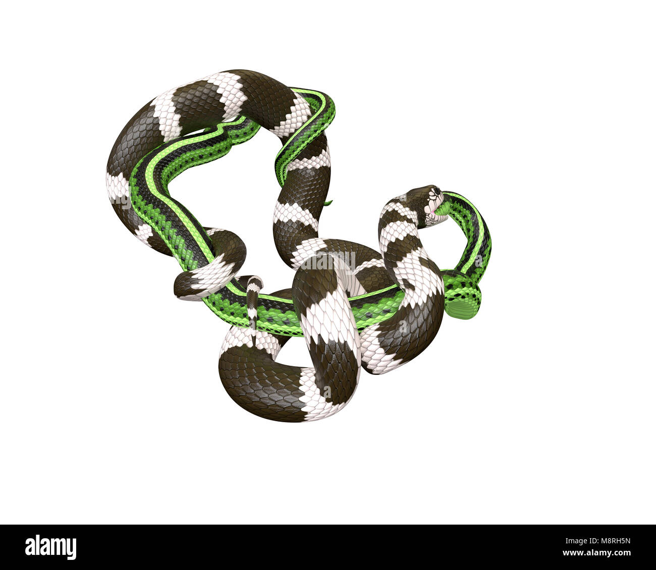 3D Illustration of a California King Snake Swallowing a Green Snake