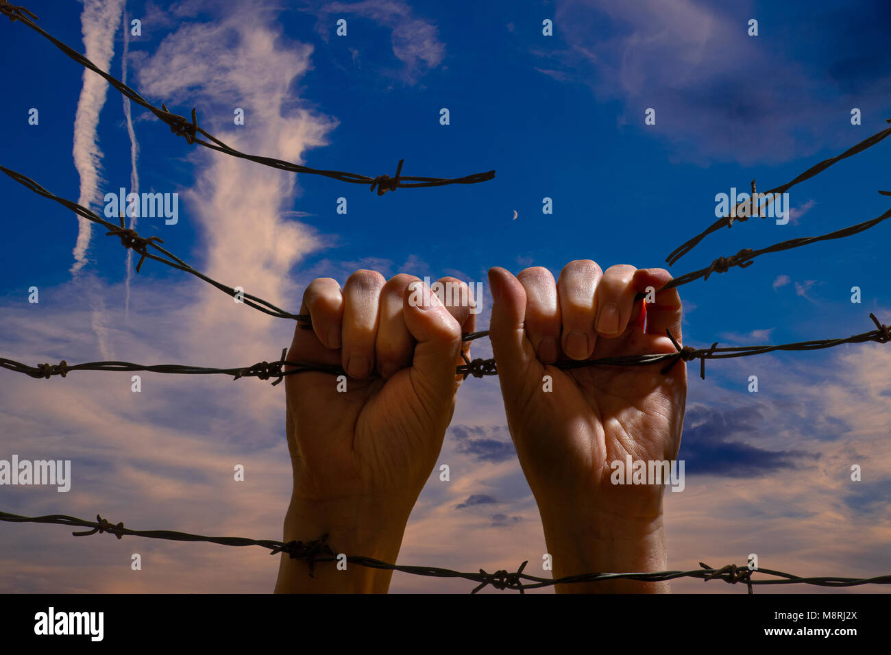 Two Hand Hanging on the Barbed Wire Stock Photo Alamy