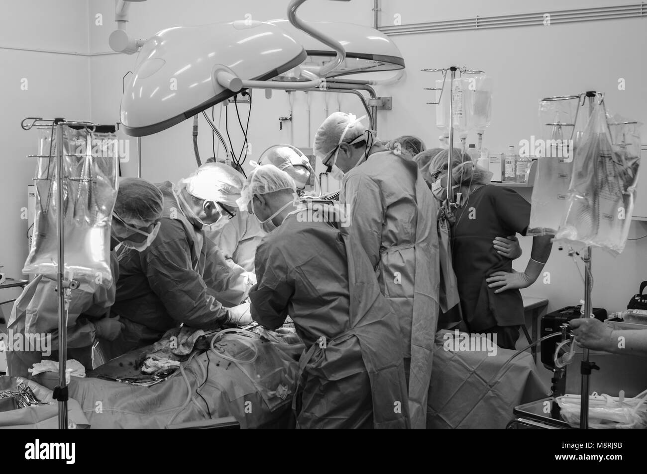 Surgeons at work Stock Photo - Alamy