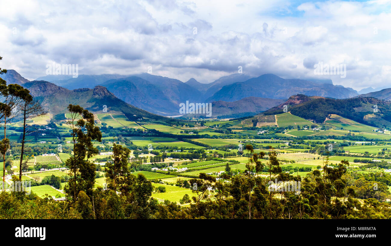 Franschhoek Valley In The Western Cape Of South Africa With Its Many 