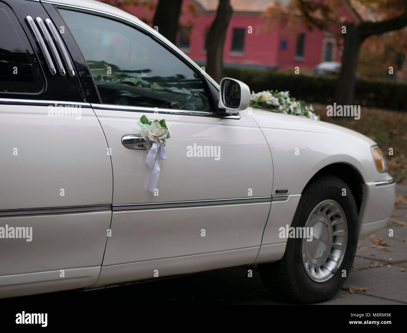 Wedding Car Decoration Stock Photos Wedding Car Decoration Stock