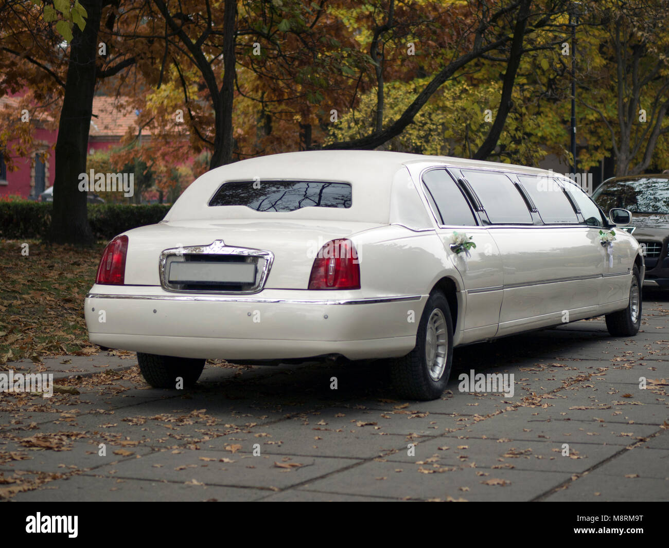 White wedding limousine with flowers on door in the autumn park Stock Photo