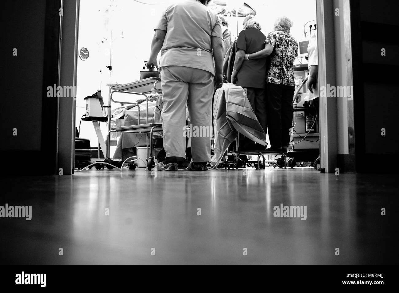 Surgeons at work Stock Photo - Alamy