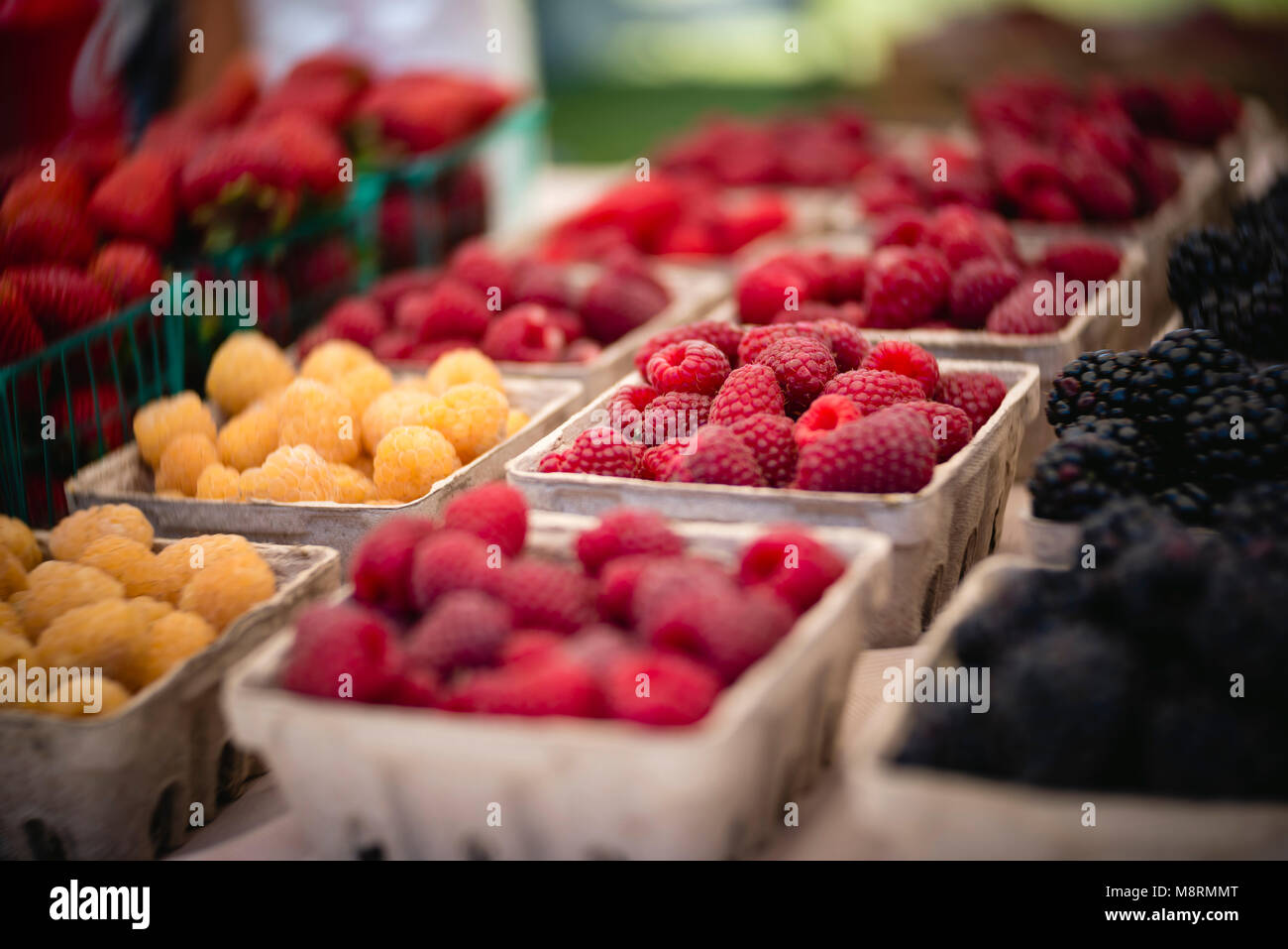 High angle view of berry fruits in boxes for sale at store Stock Photo