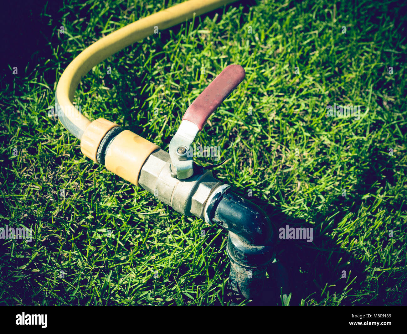 Garden irrigation system watering lawn Stock Photo Alamy