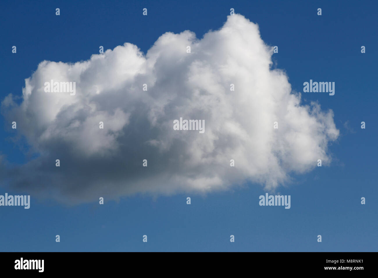 Single white fluffy cloud on blue Stock Photo