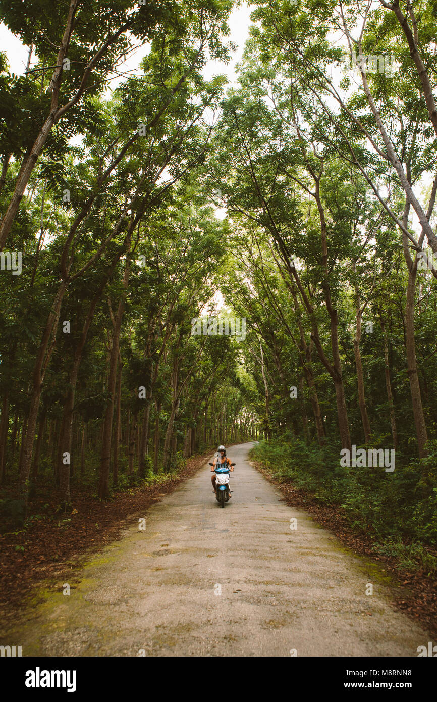 Man riding motor scooter on road amidst trees at forest Stock Photo