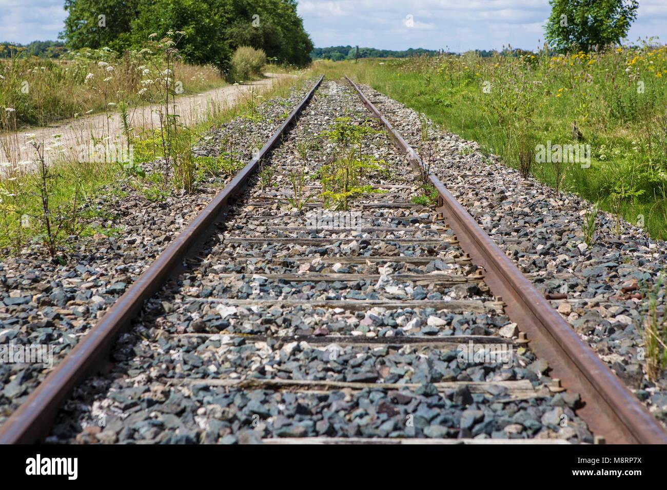 Eisenbahnschienen in den französischen Ardennen. Stock Photo