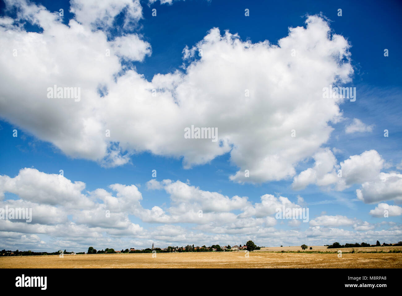 Blauer Sommerhimmel mit weißen Schönwetterwolken über einem abgeernteten Kornfeld in der französichen Chanpagne Nahe dem kleine Ort Grandpre. Die Regi Stock Photo