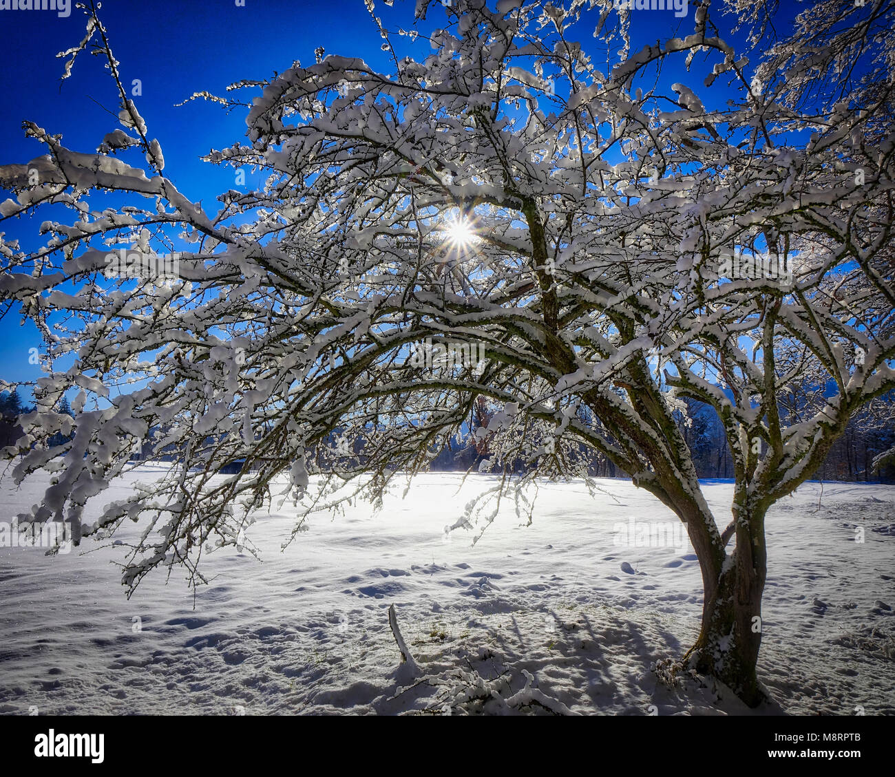 DE - BAVARIA: Wintertime near Bad Toelz (HDR Image) Stock Photo