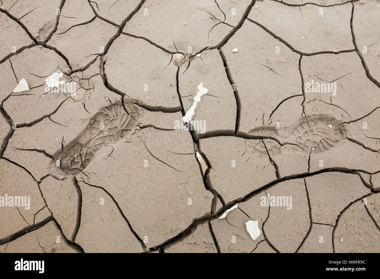 Close-up of footprints on dry barren land Stock Photo