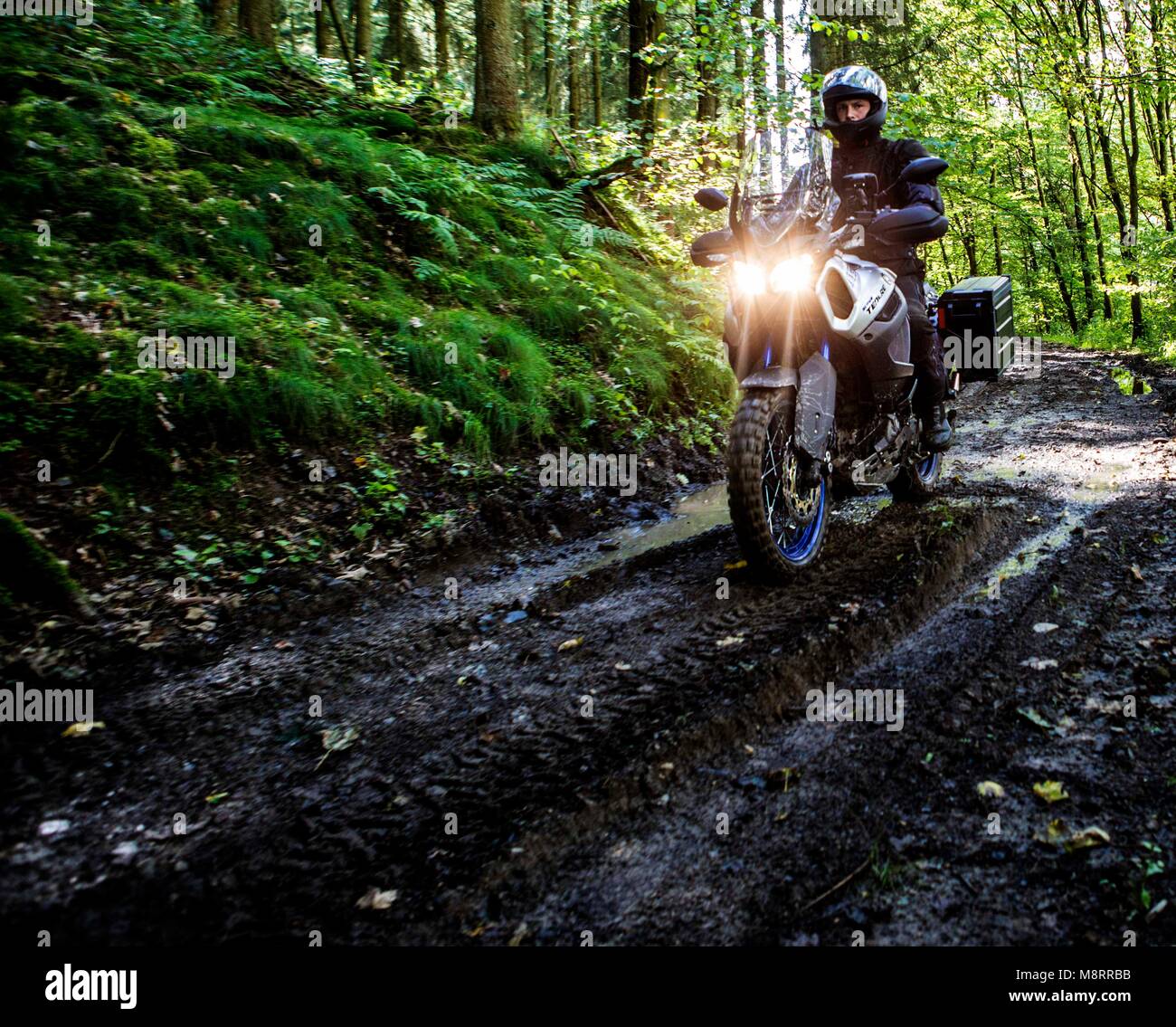 Die Motorräder BMW 1200 GS Adventure und die Yamaha XT Super Ténéré Z 1200 auf einer Tour durch die belgischen und französischen Ardennen und die Cham Stock Photo