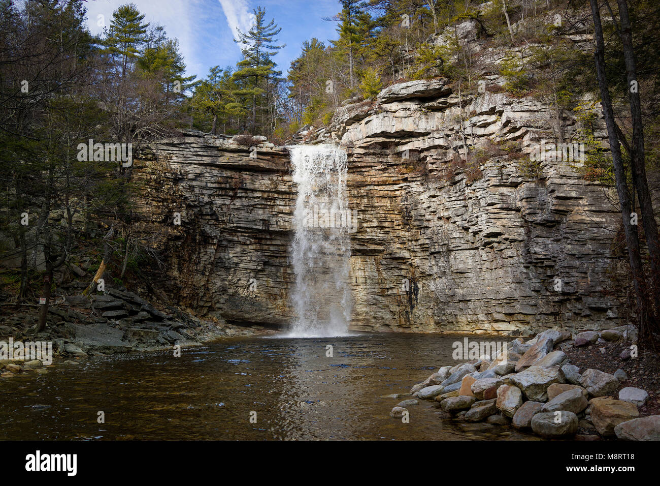Scenic view of waterfall in forest Stock Photo - Alamy