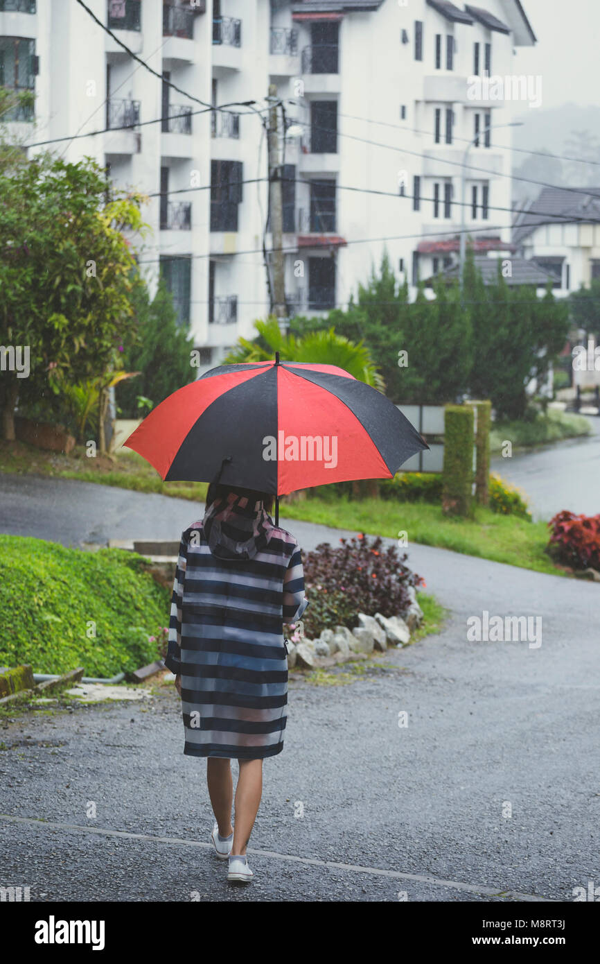 Rear view of woman with umbrella walking on city street Stock Photo - Alamy