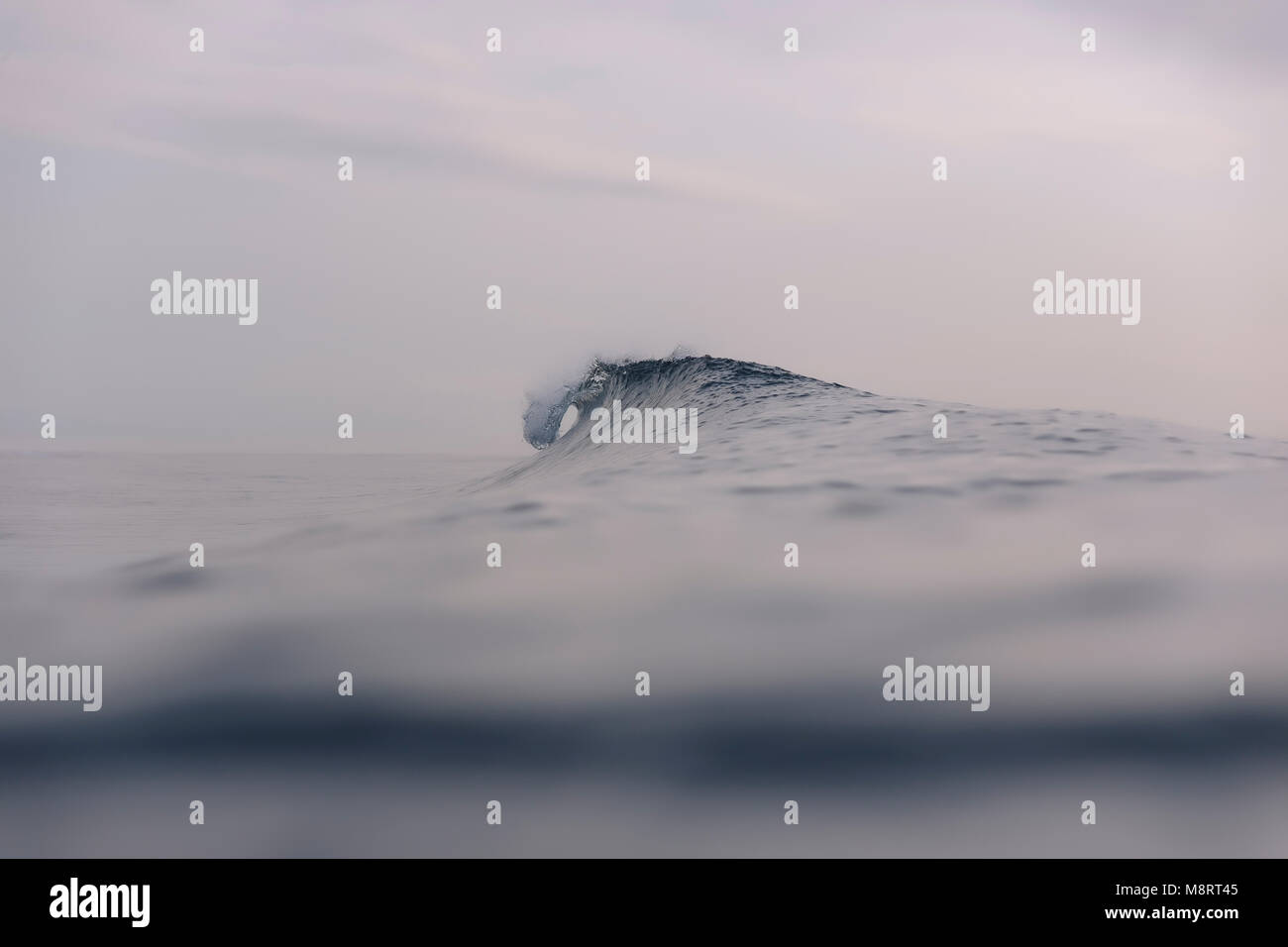 Surf close up hi-res stock photography and images - Alamy