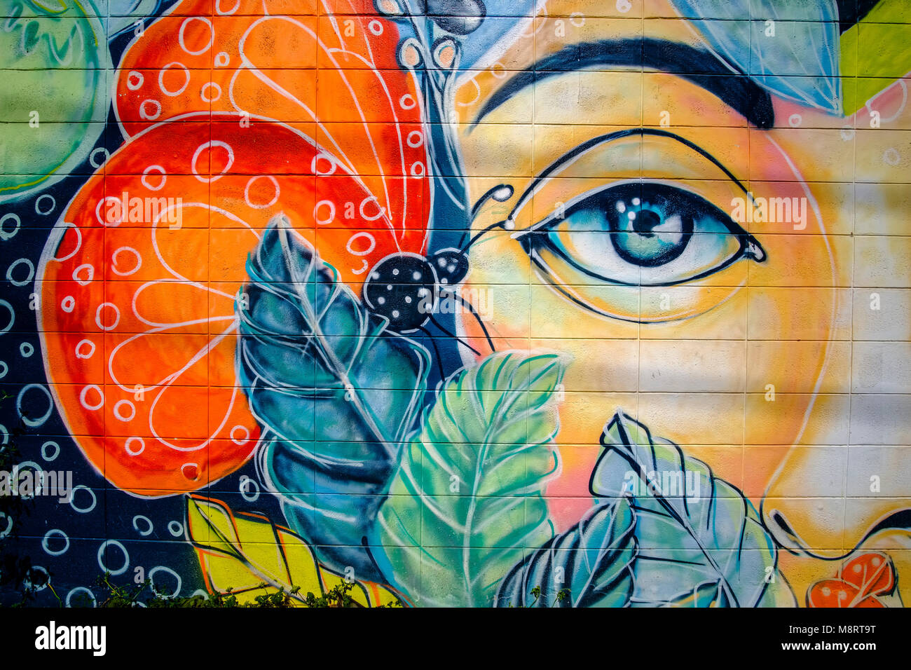 Colorful graffiti of a female face at a wall Stock Photo