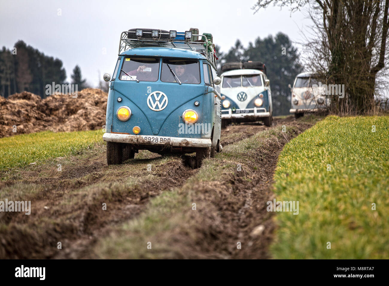 Mit historischen VW-Bussen vom Typ T1 (Baujahre 1950 bis 1967) ist eine Gruppe von Bulli-Freunden unterwegs im Gelände. Die Gruppe besteht aus holländ Stock Photo