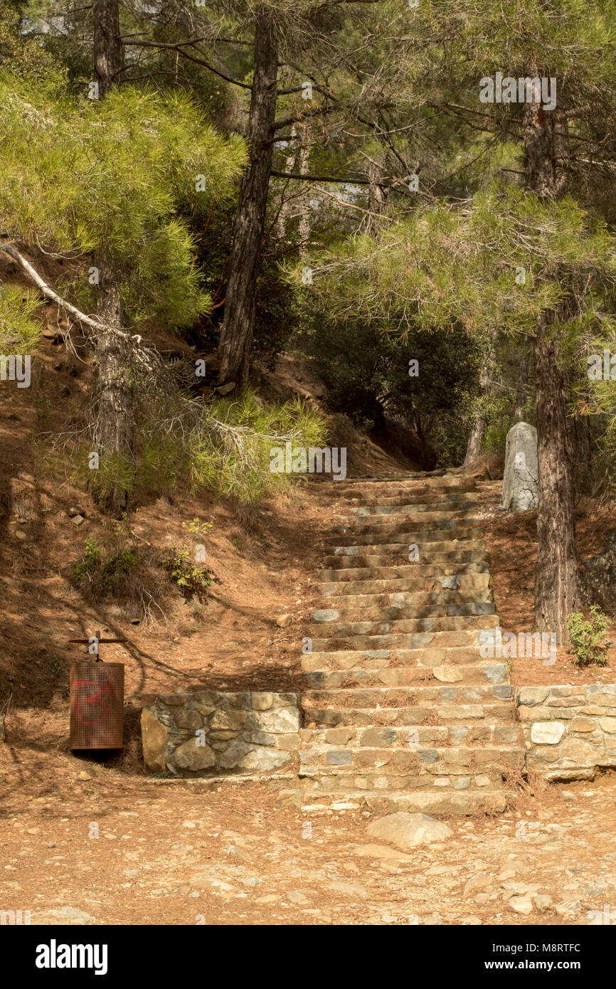 Steps to the start of the Caledonia waterfall trail from the Psilo