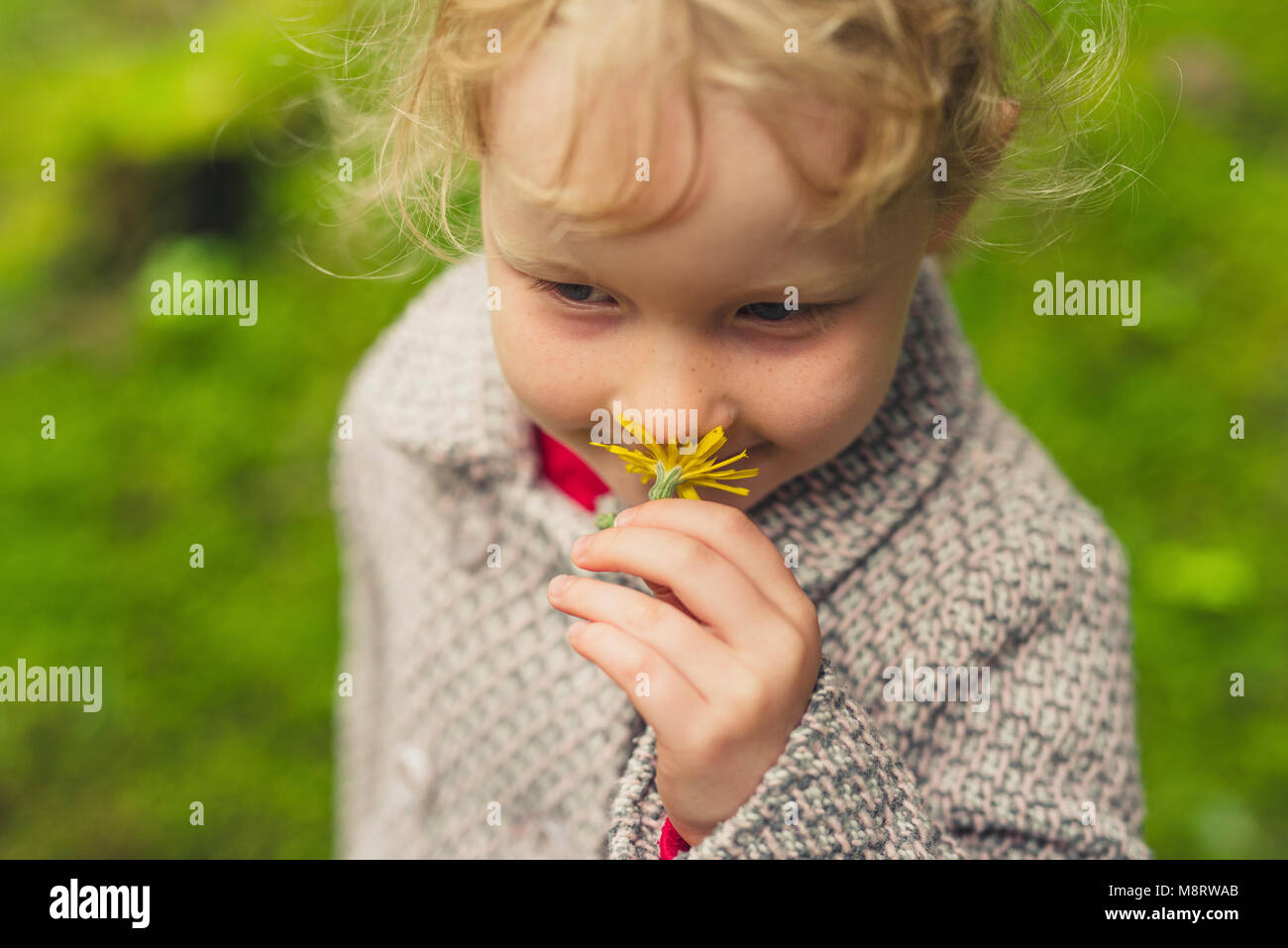 Cute girl smelling flower on field Stock Photo
