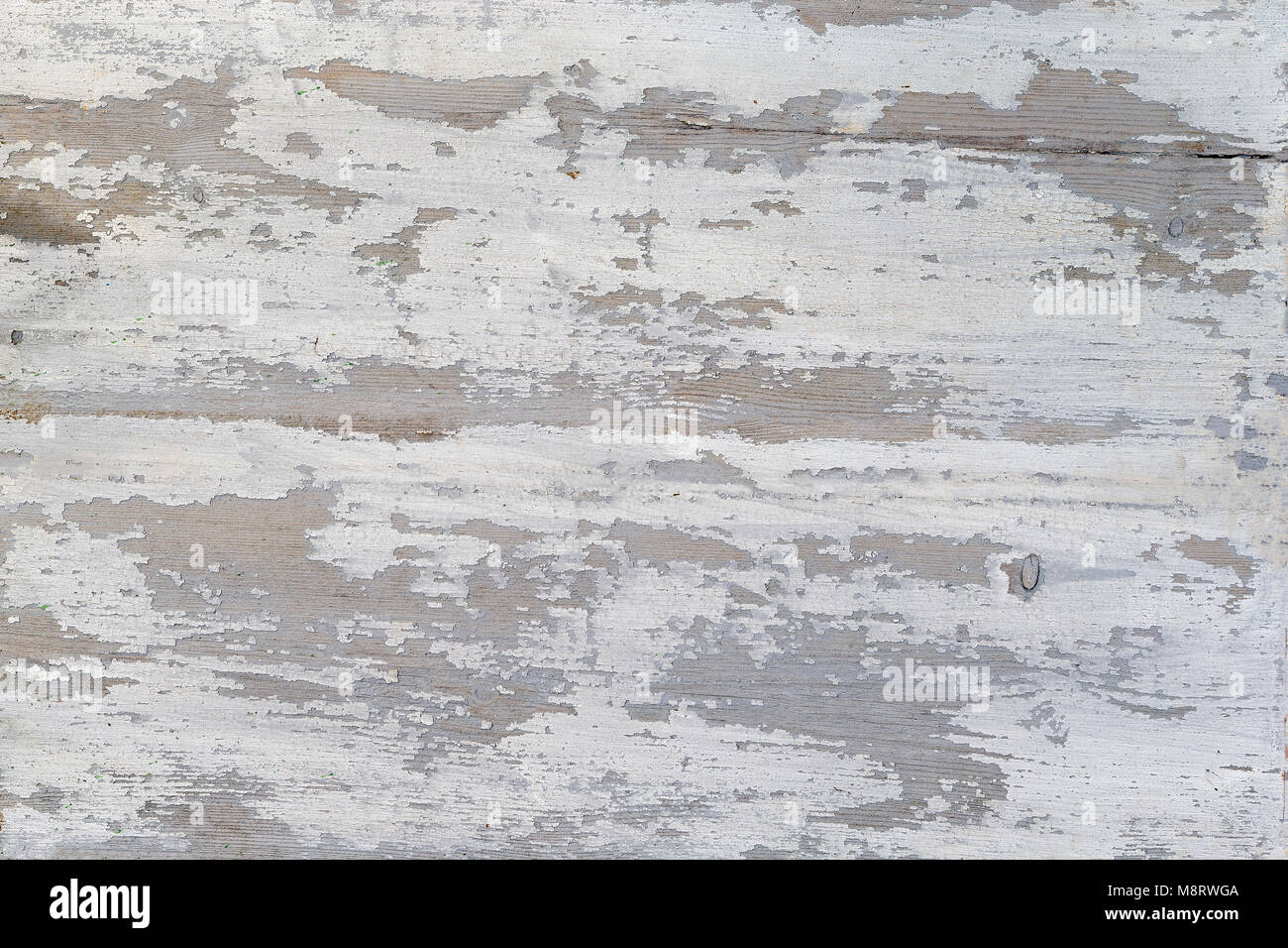 A Weathered wood texture with peeling white paint. Abstract grunge background. Stock Photo