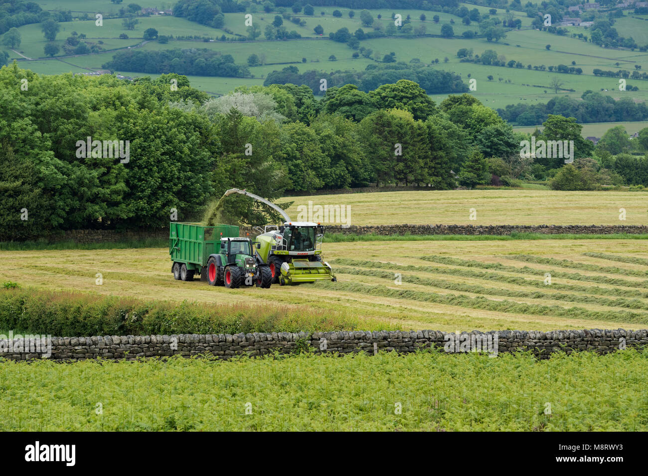 Working in farm field, 1 one green Fendt tractor drives alongside Claas forage harvester collecting cut grass for silage - West Yorkshire, England, UK Stock Photo