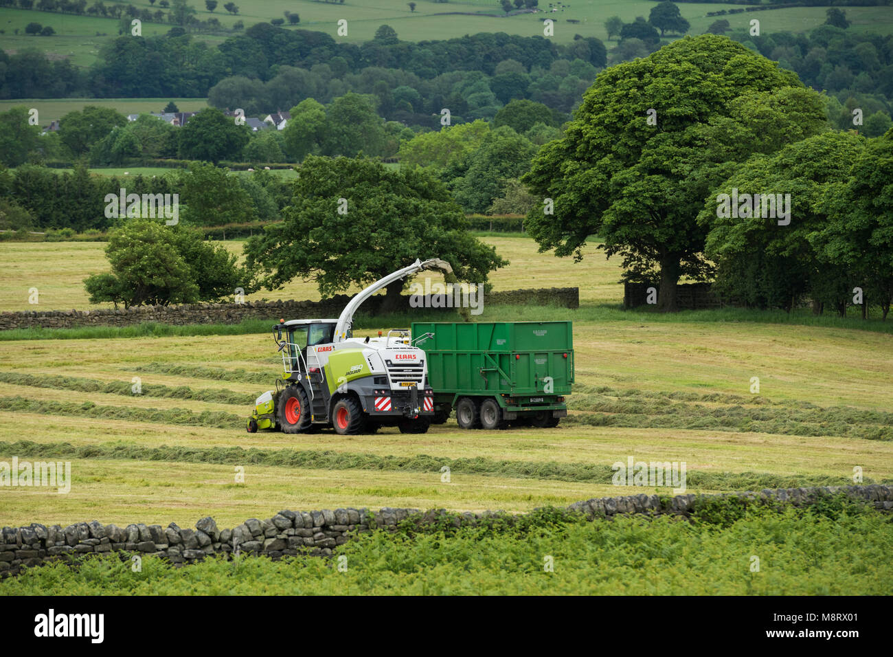 Near ilkley overlooking wharfedale hires stock photography and images