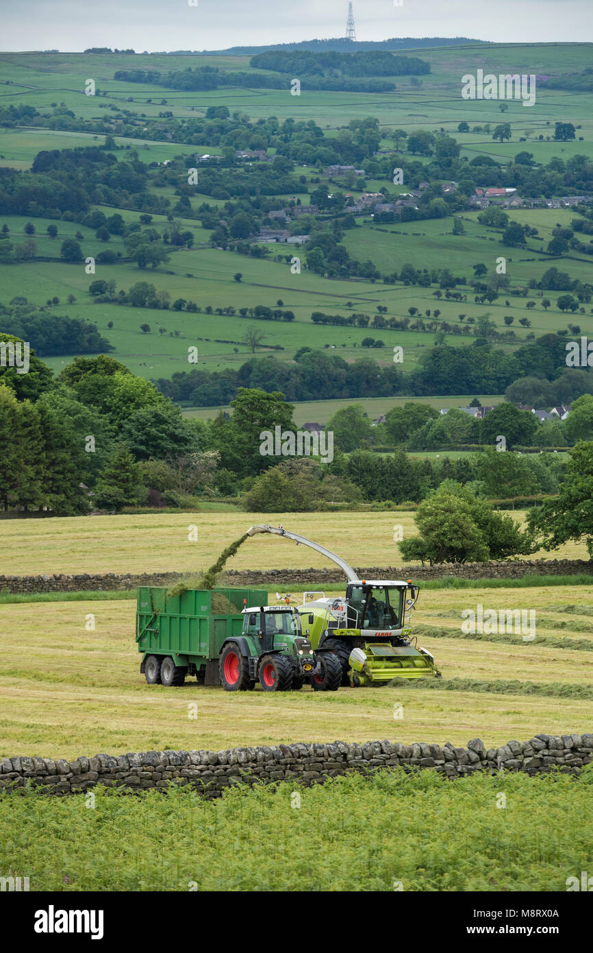 Working in farm field, 1 one green Fendt tractor drives alongside Claas forage harvester collecting cut grass for silage - West Yorkshire, England, UK Stock Photo