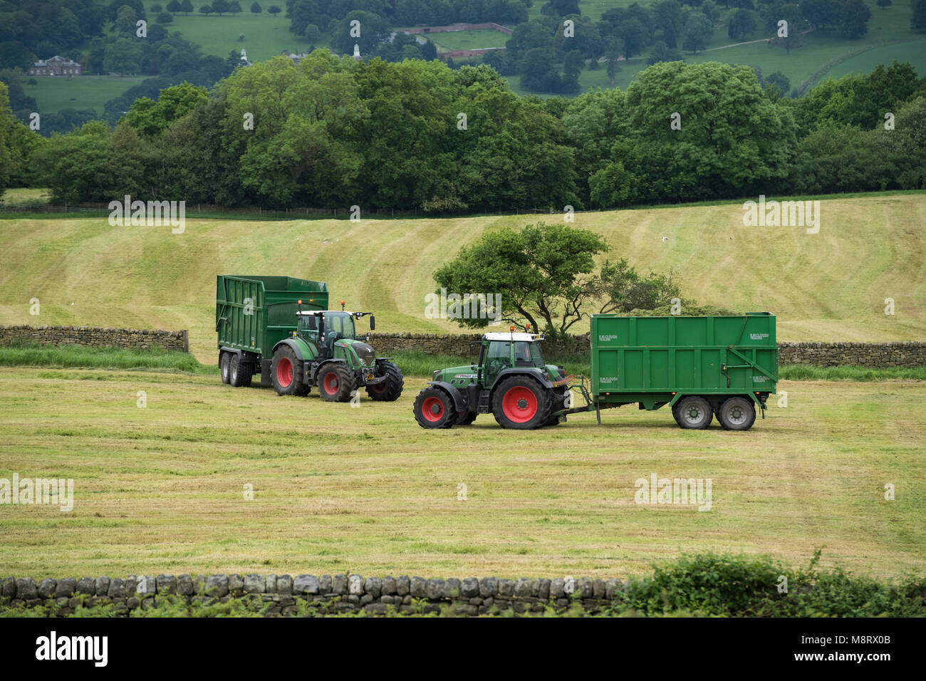 Working in farm field, 2 green Fendt tractors are pulling trailers 1 is loaded with cut grass