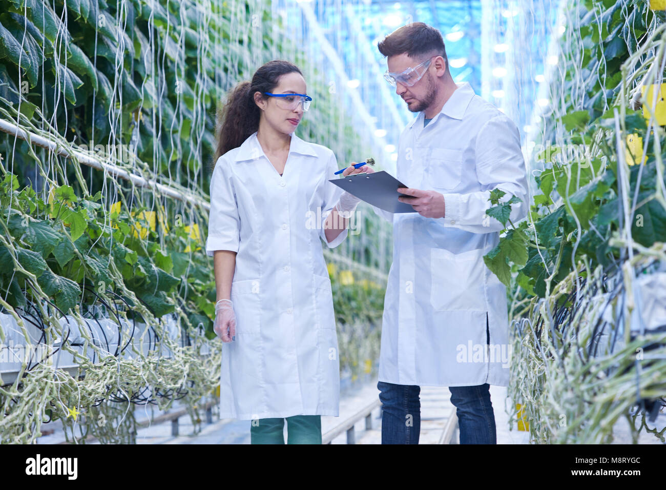 Scientist on Modern Plantation Stock Photo Alamy