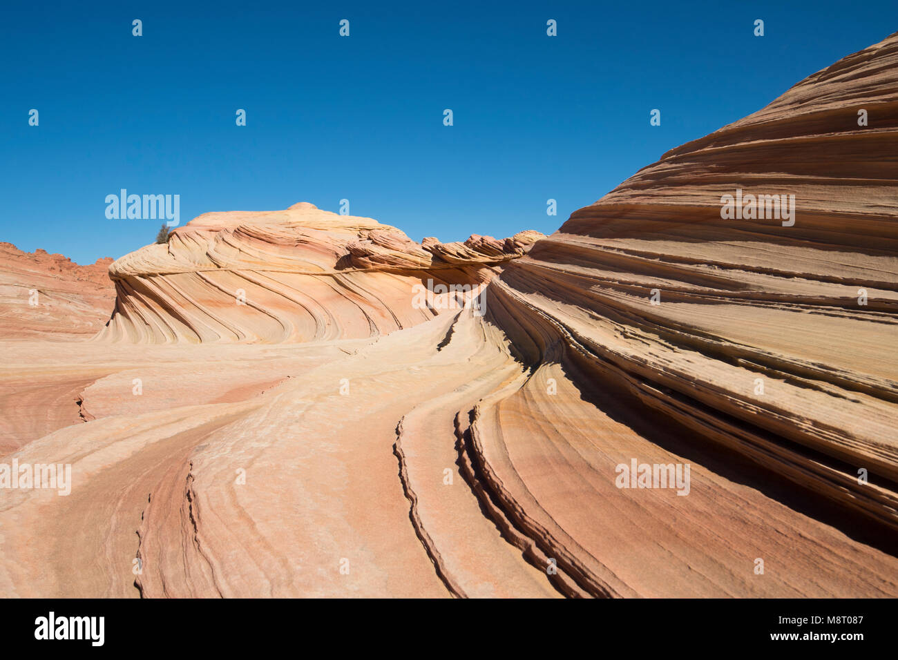 The Second Wave at Coyote Buttes north area, part of the Paria Canyon-Vermilion Cliffs Wildlerness area. Stock Photo
