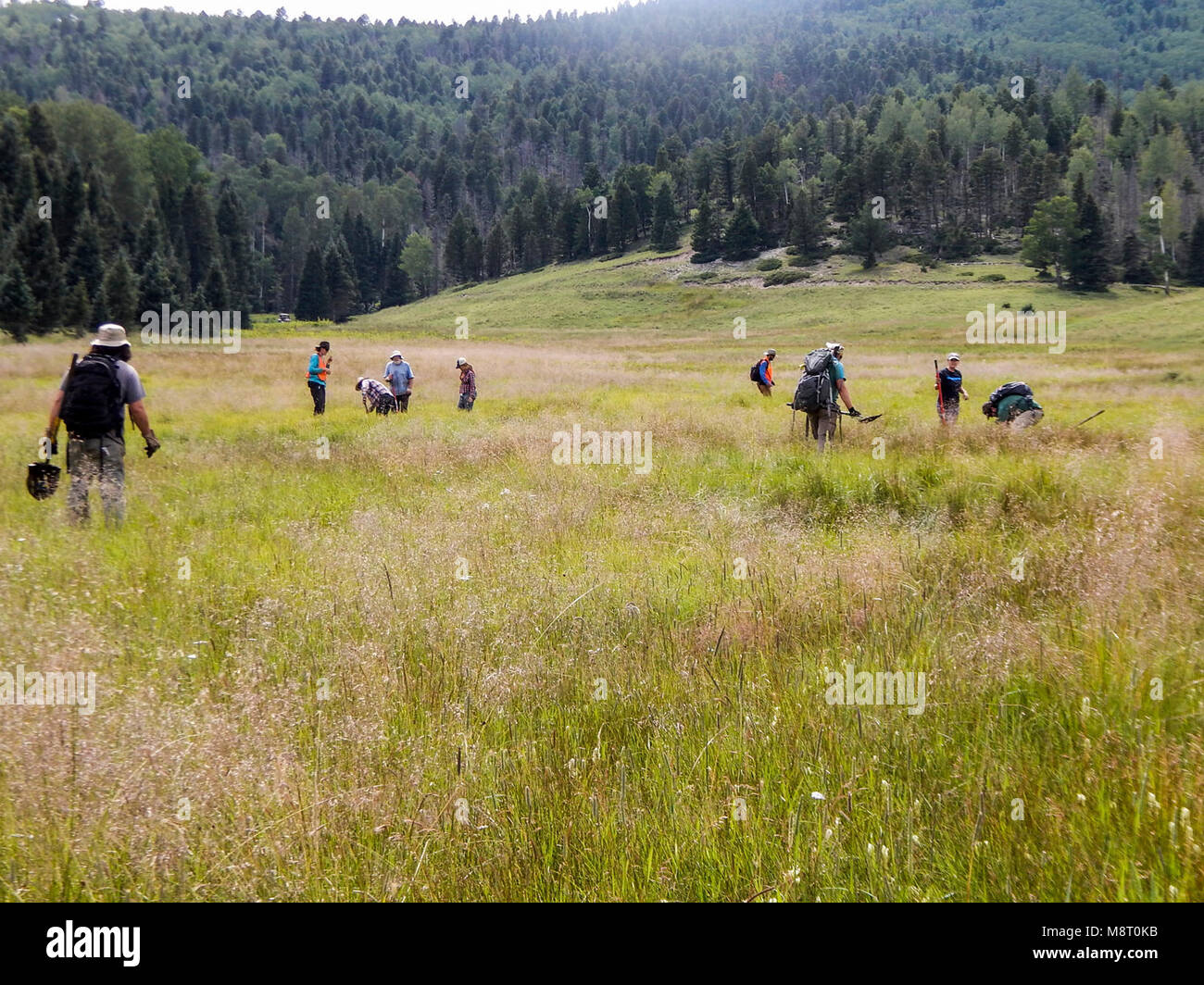 Questa new mexico hires stock photography and images Alamy