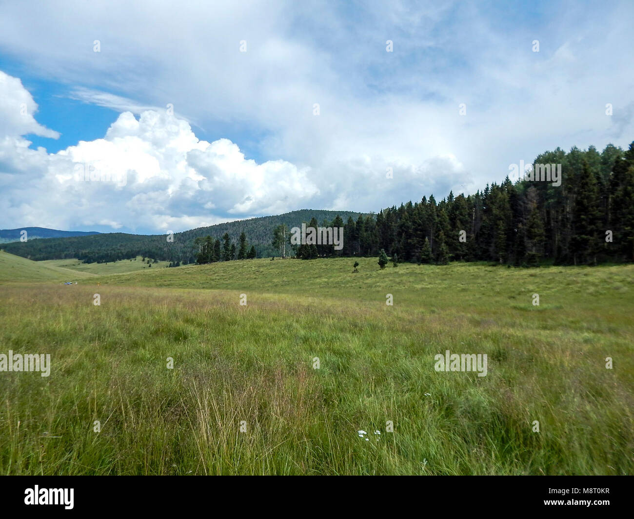 Questa New Mexico High Resolution Stock Photography and Images Alamy