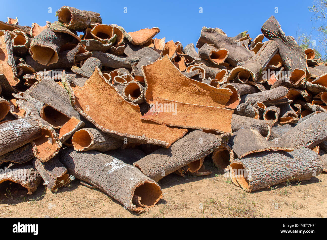 Heap of cork tree bark as raw commodity with sky Stock Photo