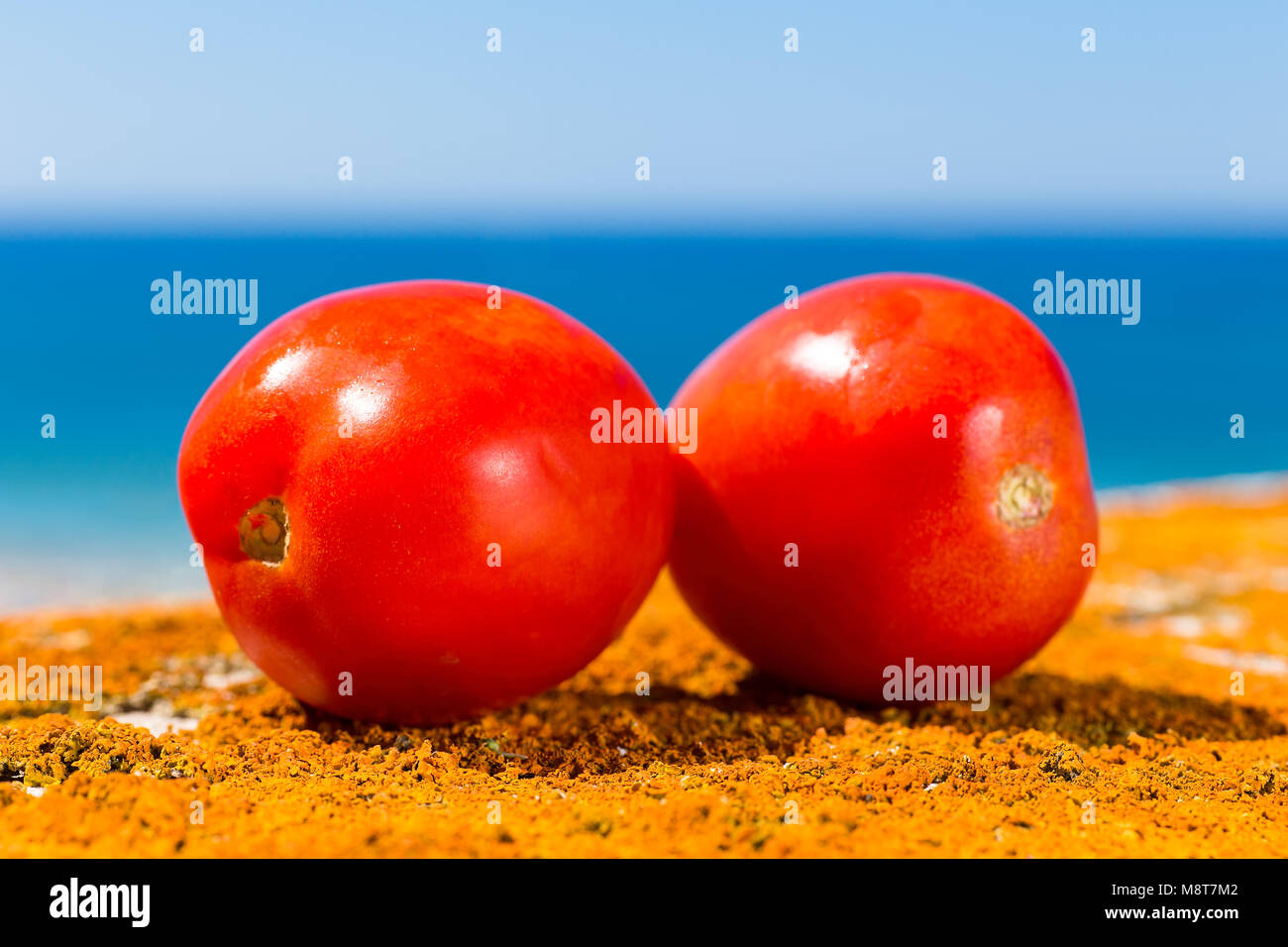 Two red tomatoes with blue sea and sky Stock Photo