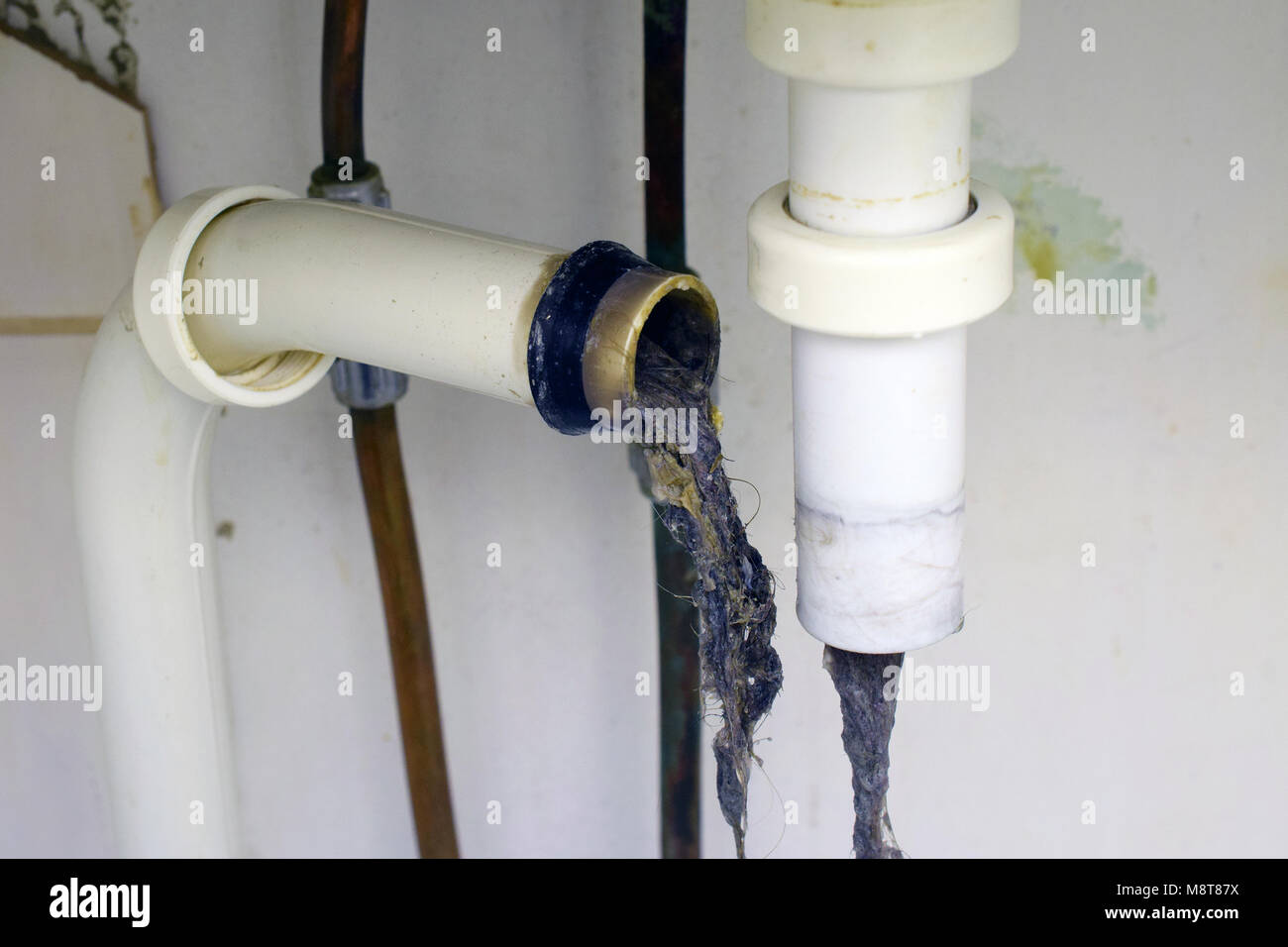 Clogged sink pipe. Unclog a drain from hairs and other stuff. Stock Photo