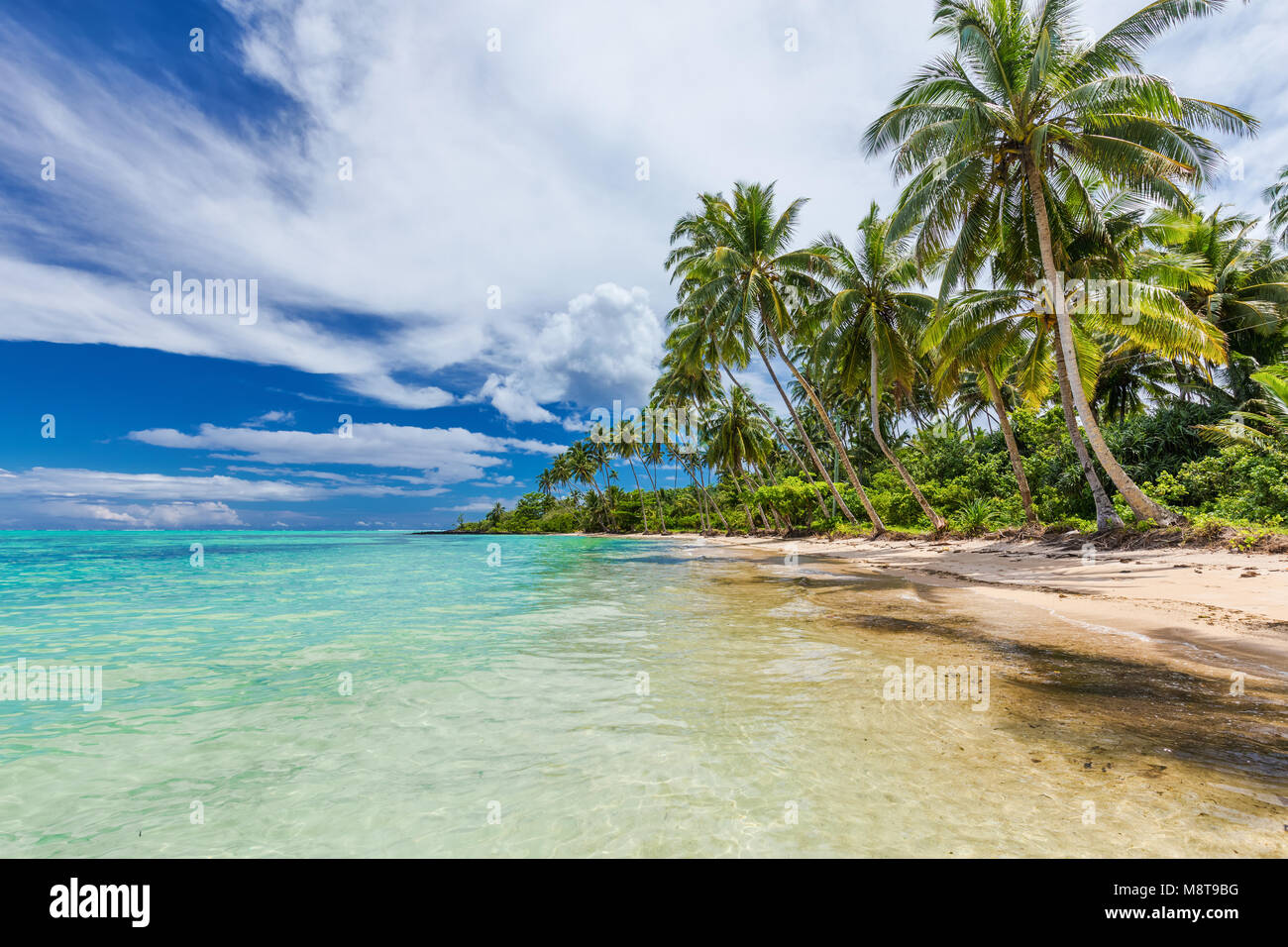 Wild natural beach with palm trees on south side of Upolu, Samoa ...