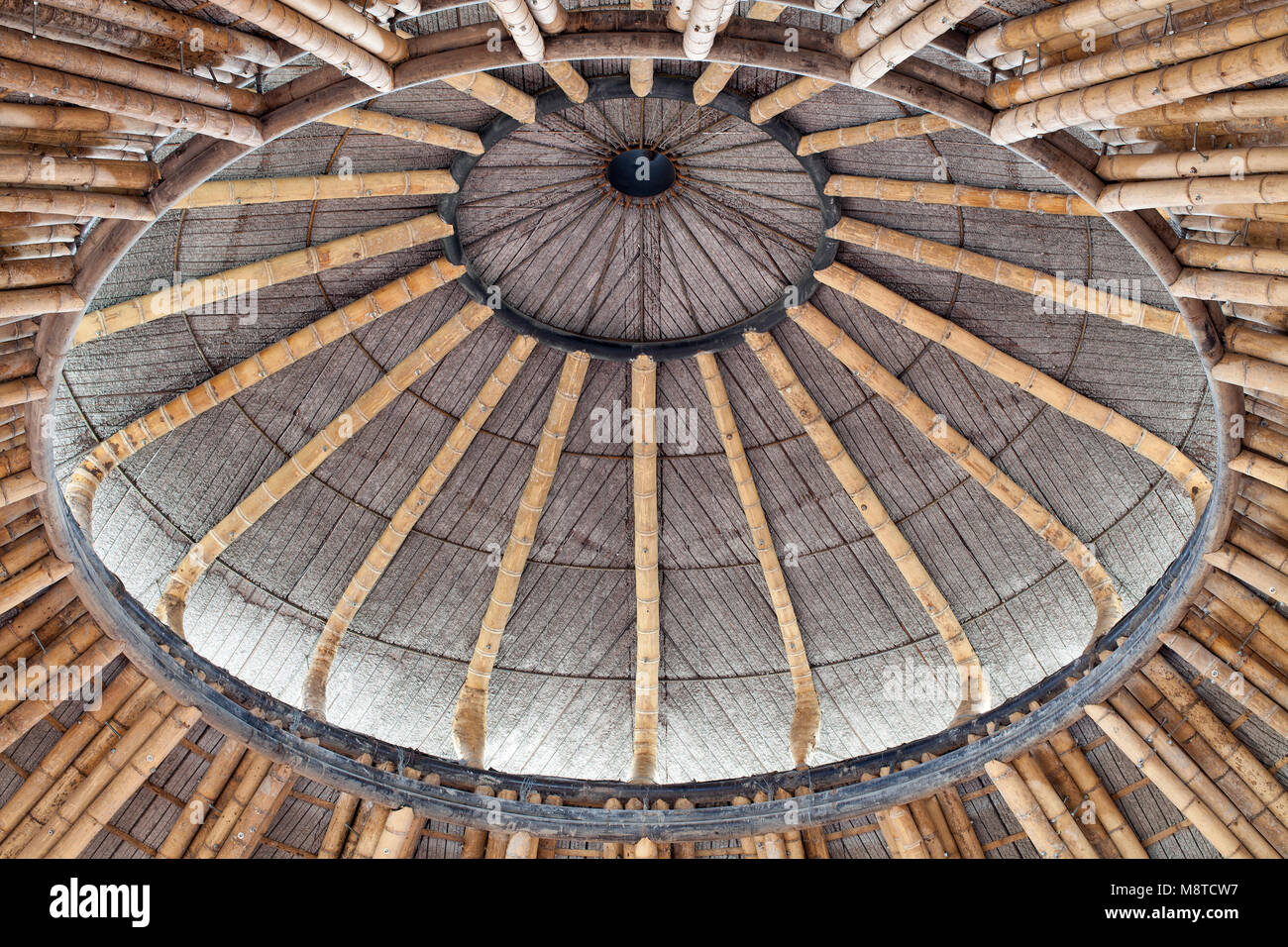 Centre of dome showing bamboo structure and ventilation gap. La Cúpula, Bogota, Colombia. Architect: Simón Vélez, 2012. Stock Photo