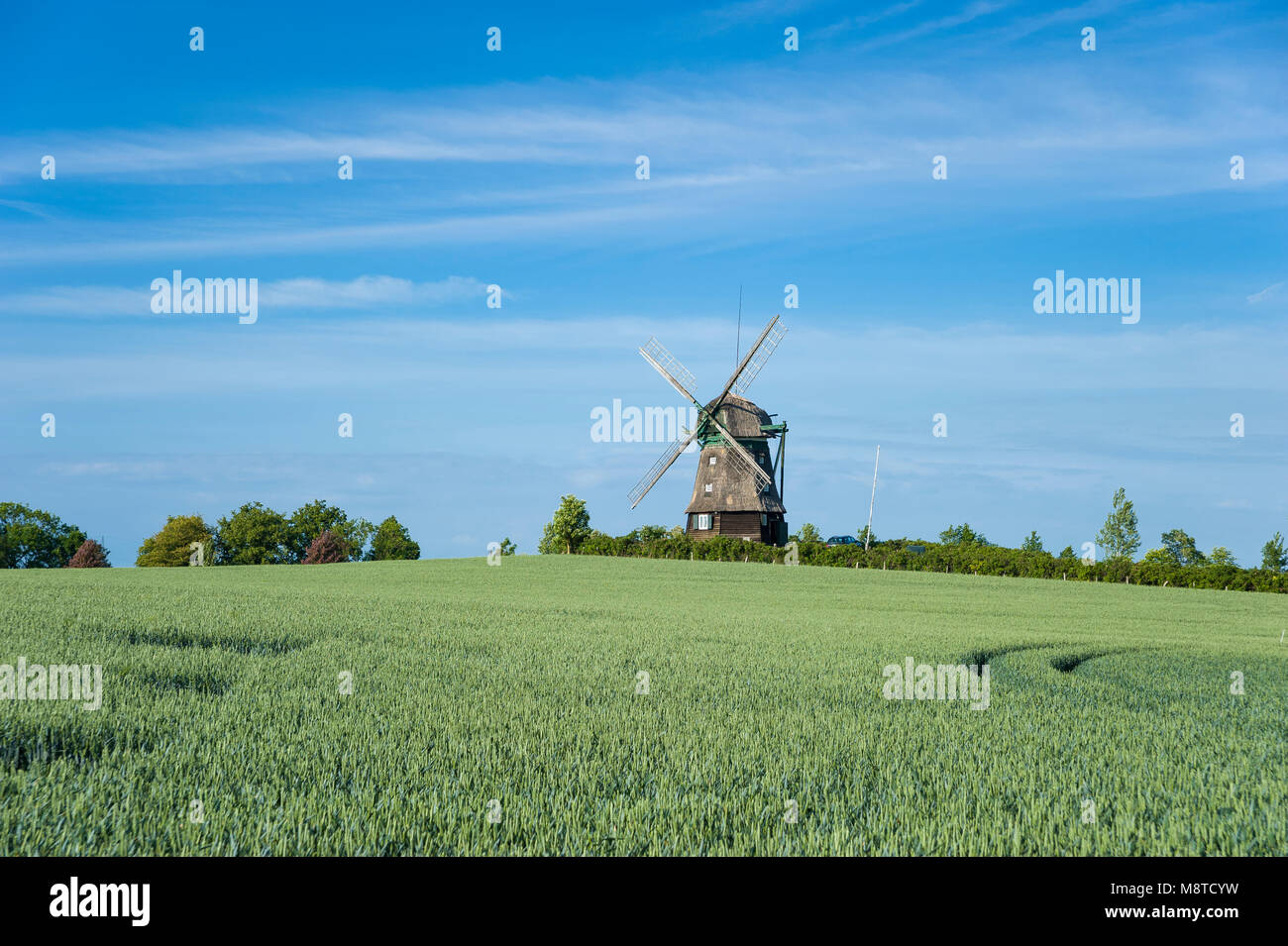 Farver Mill, Wangles, Baltic Sea, Schleswig-Holstein, Germany, Europe Stock Photo