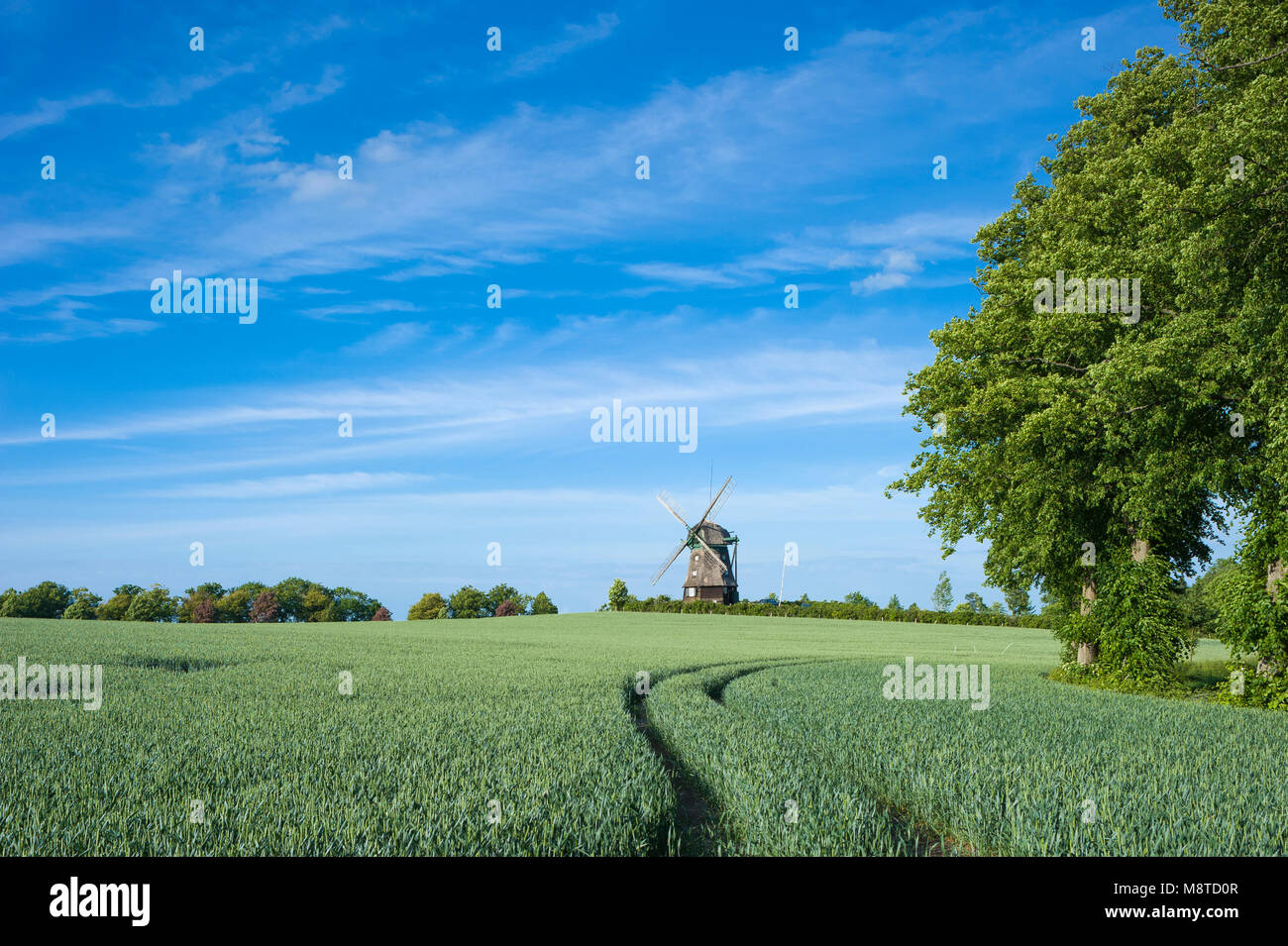 Farver Mill, Wangles, Baltic Sea, Schleswig-Holstein, Germany, Europe Stock Photo