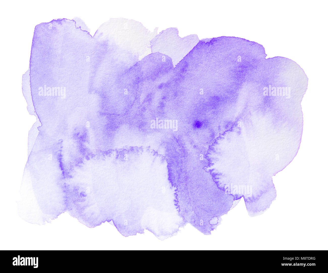 Abstract purple watercolor splash isolated on white background Stock ...