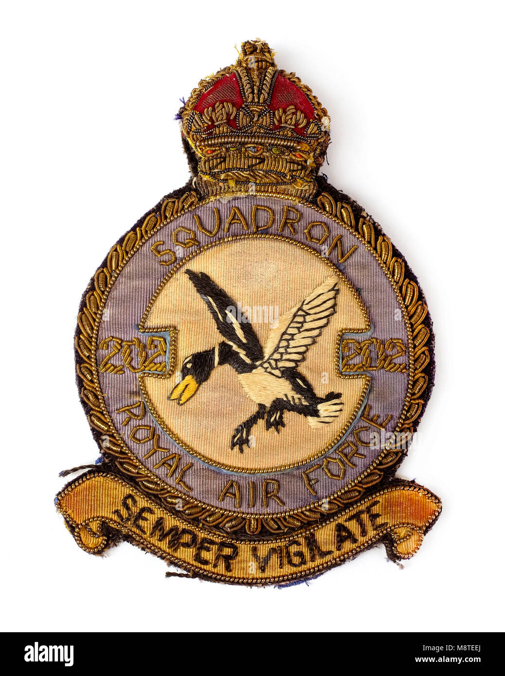 Vintage RAF No 202 Squadron cloth badge, featuring a mallard alighting above the motto 'Semper Vigilate' (Be Always Vigilant). Stock Photo