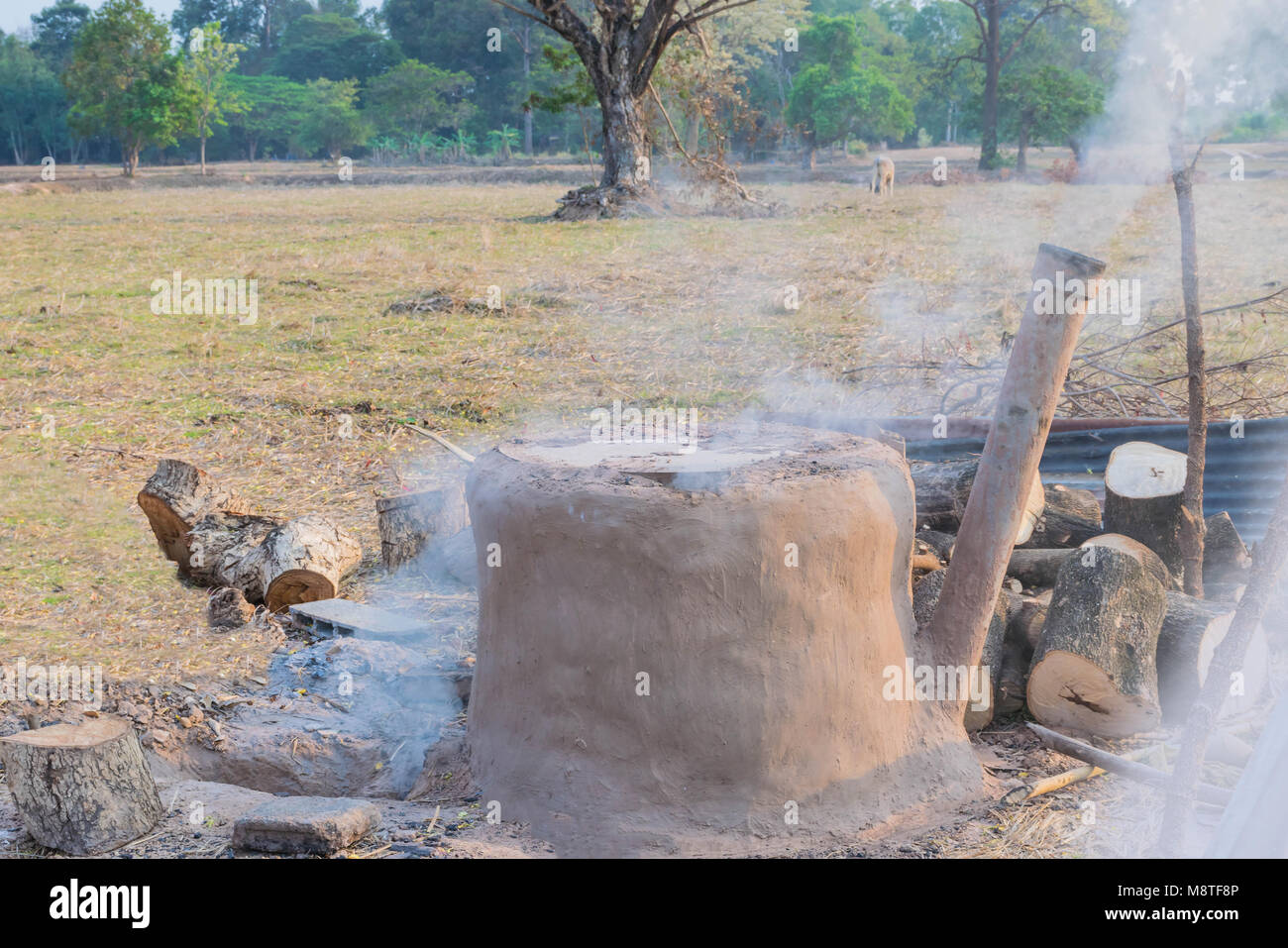 The famer practise how to burn charcoal,ancient method to made char in Thailand. Stock Photo