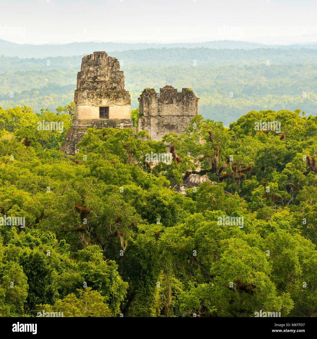 Mayan ruins rise above the jungle in the famous Tikal National Park ...