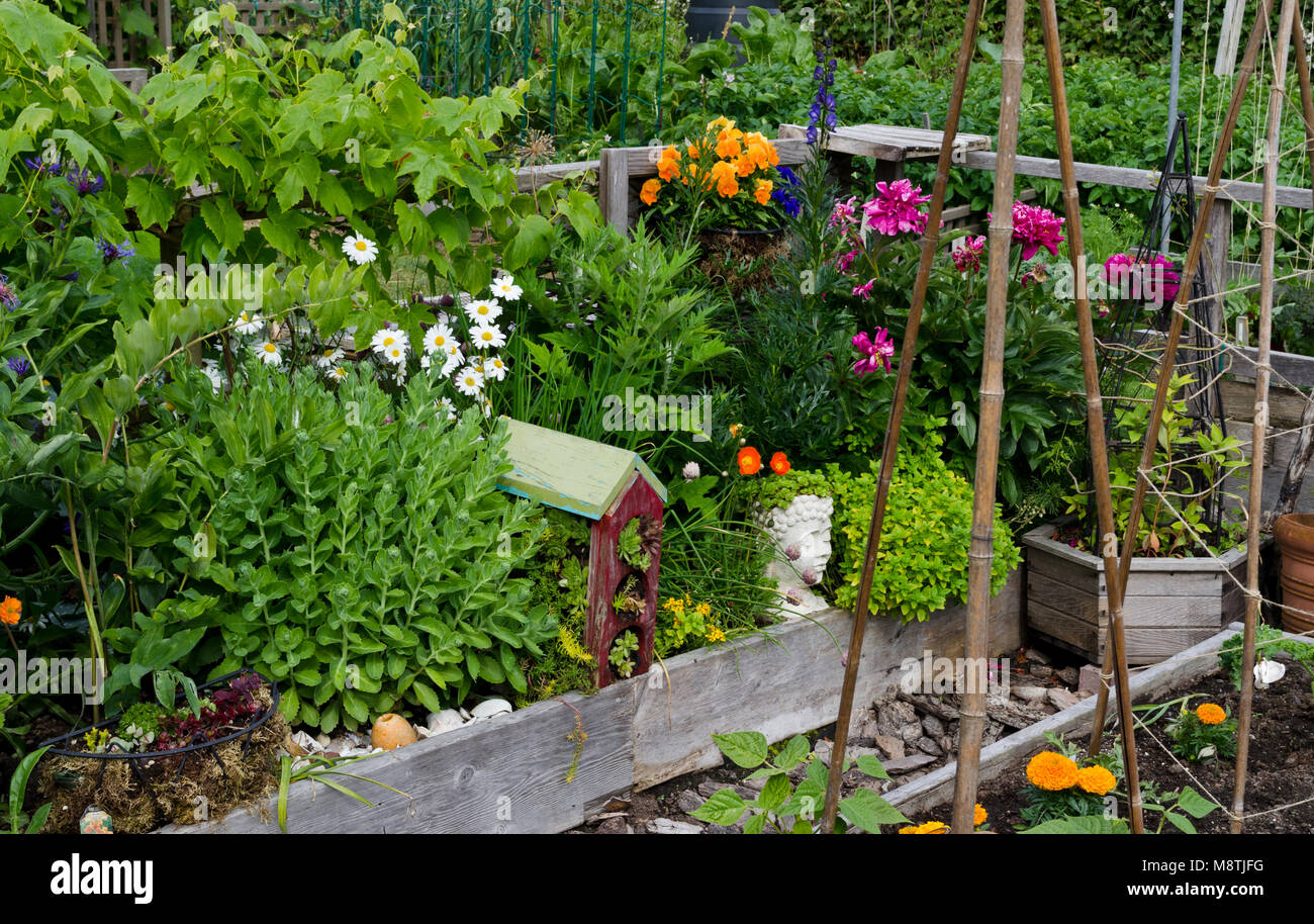 Beautiful And Colourful Raised Bed In A Community Garden Plot 