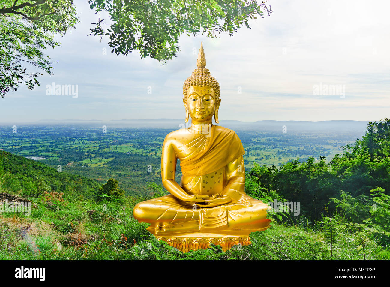 Buddha statue in the forest hi-res stock photography and