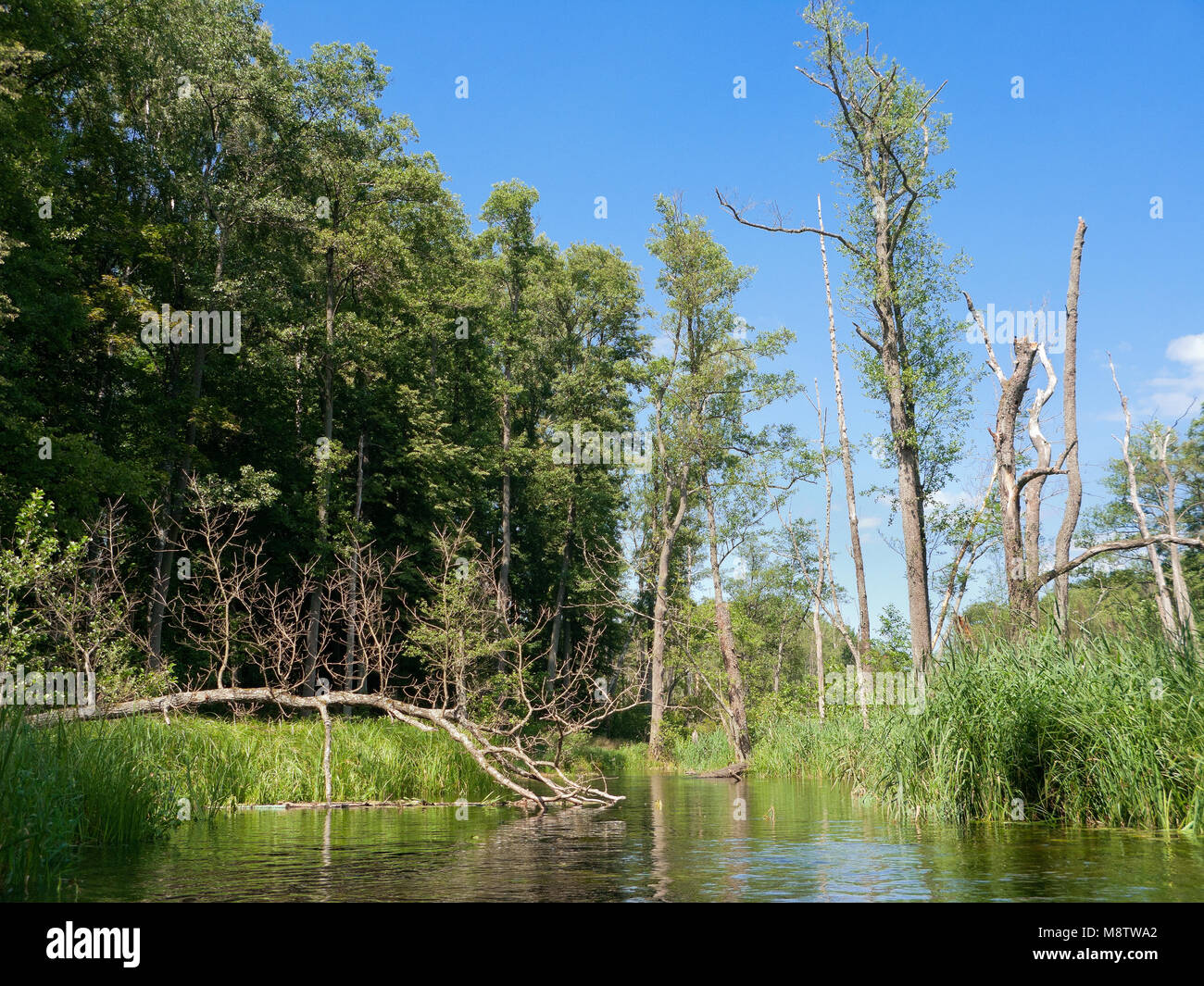 Krutynia river canoe trail hi-res stock photography and images - Alamy