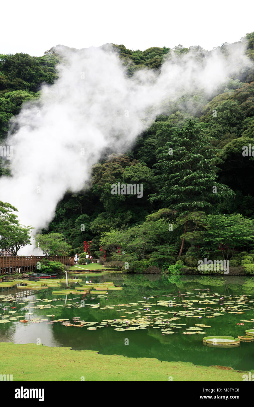 Eight leaf lotus flower hires stock photography and images Alamy