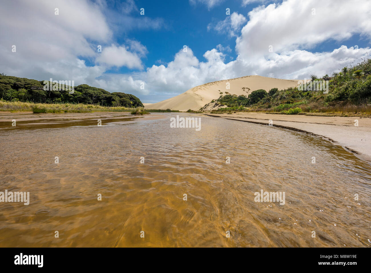 Giant sand dunes Te Paki, New Zealand Stock Photo - Alamy