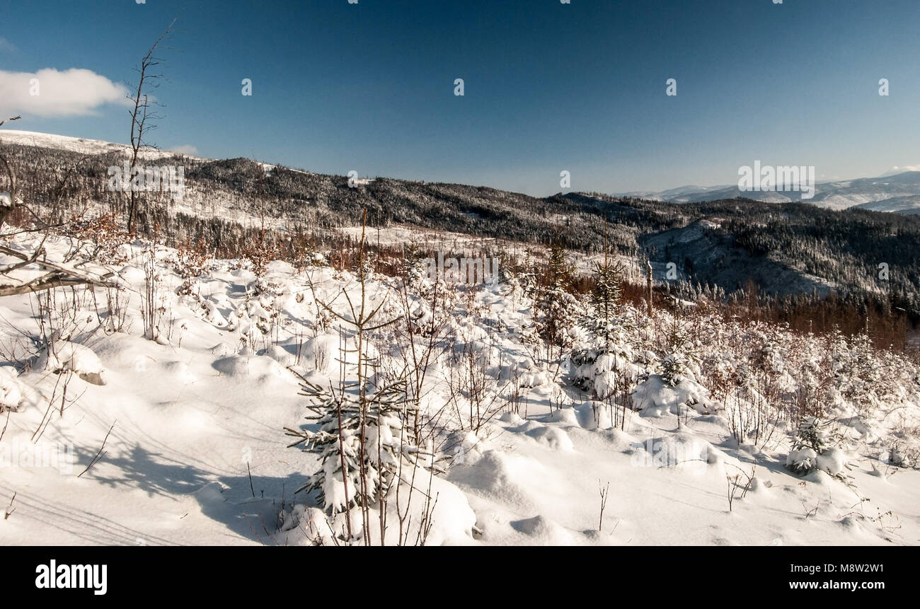 winter mountain scenery with snow covered hills and blue sky from Ganczorka hill in Beskid Slaski mountains in Poland Stock Photo