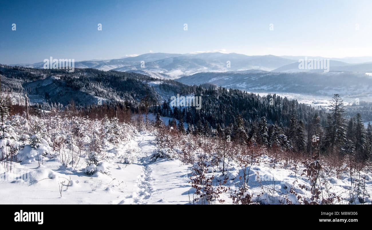 view to Beskid Zywiecki mountain range from Ganczorka hill in Beskid Slaski mountains in Poland during freezing winter day with clear sky Stock Photo